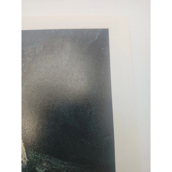 Print A Navajo Madonna & Voices of the Night Frank Tenney Johnson Art 13x10 - Picture 11 of 12